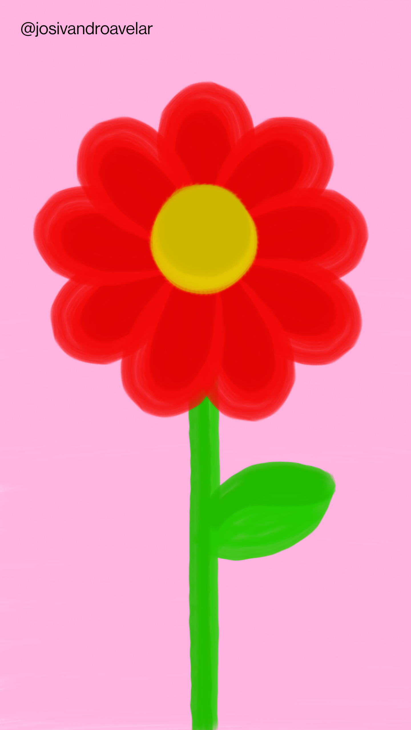 Artes digitais: vermelho intenso 1 Flor com pétalas em tons de vermelho intenso, sobre fundo cor de rosa.