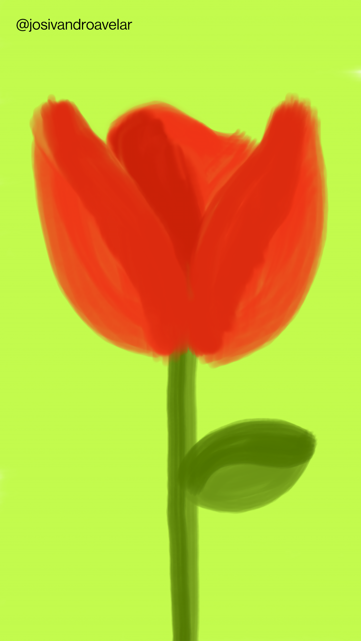 Artes digitais: rosa tropical 1 Desenho de uma rosa tropical em tons de vermelho, sob fundo verde.