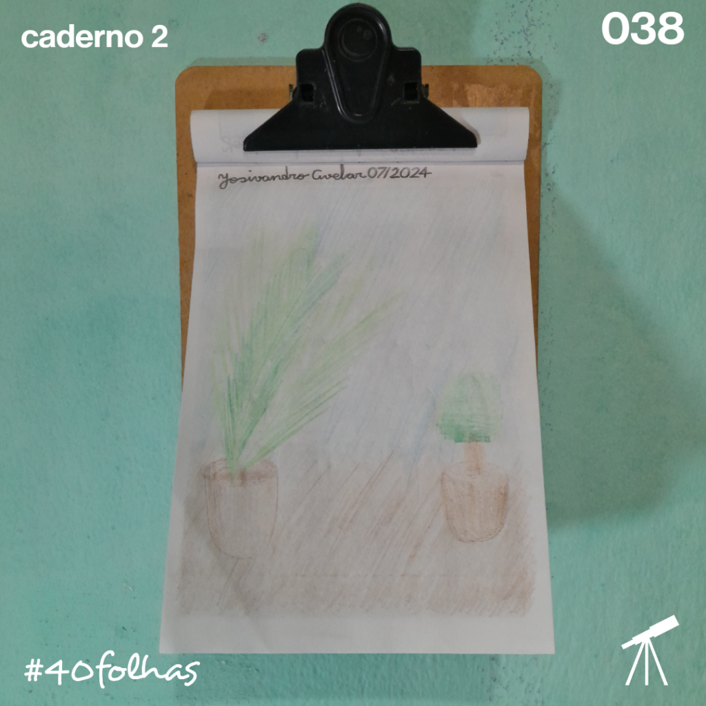 Desenho de um jardim de casa com plantas nos vasos.