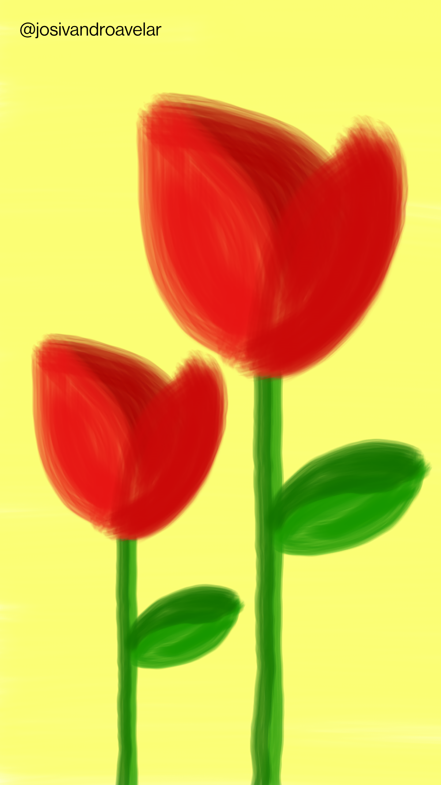 Artes digitais: rosas tropicais 1 Rosas tropicais sobre fundo amarelo.