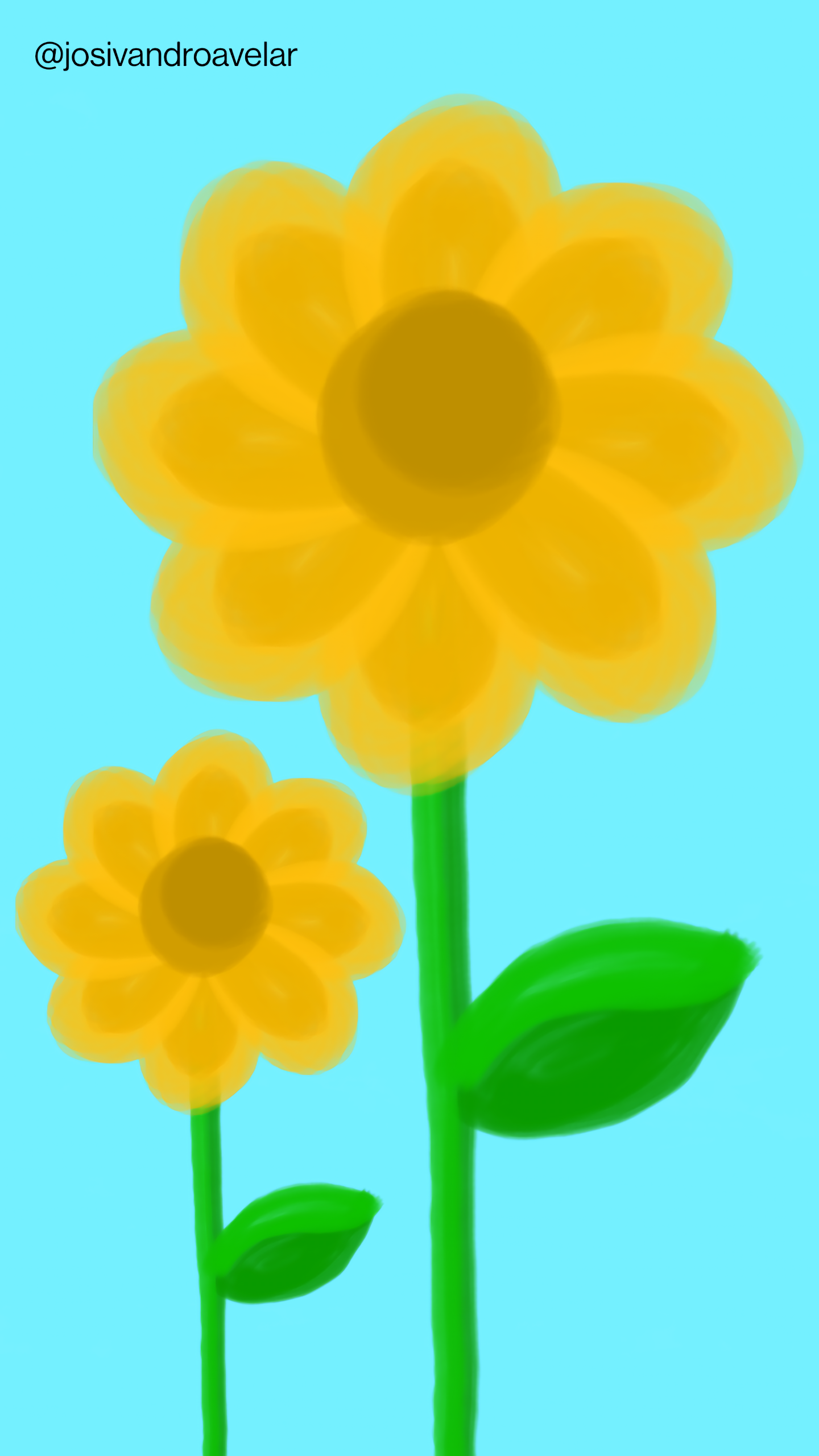 Bora desenhar? #064 1 Duas flores amarelas sobre fundo azul.