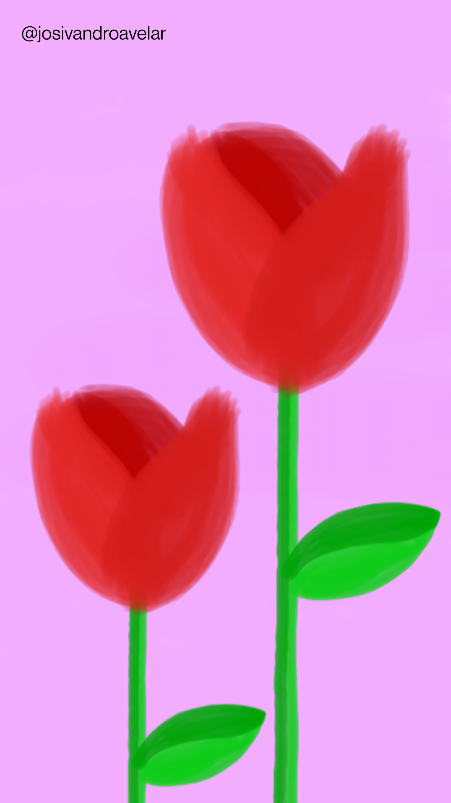 Artes digitais: sobre rosas 1 Sobre rosas vermelhas em fundo violeta.