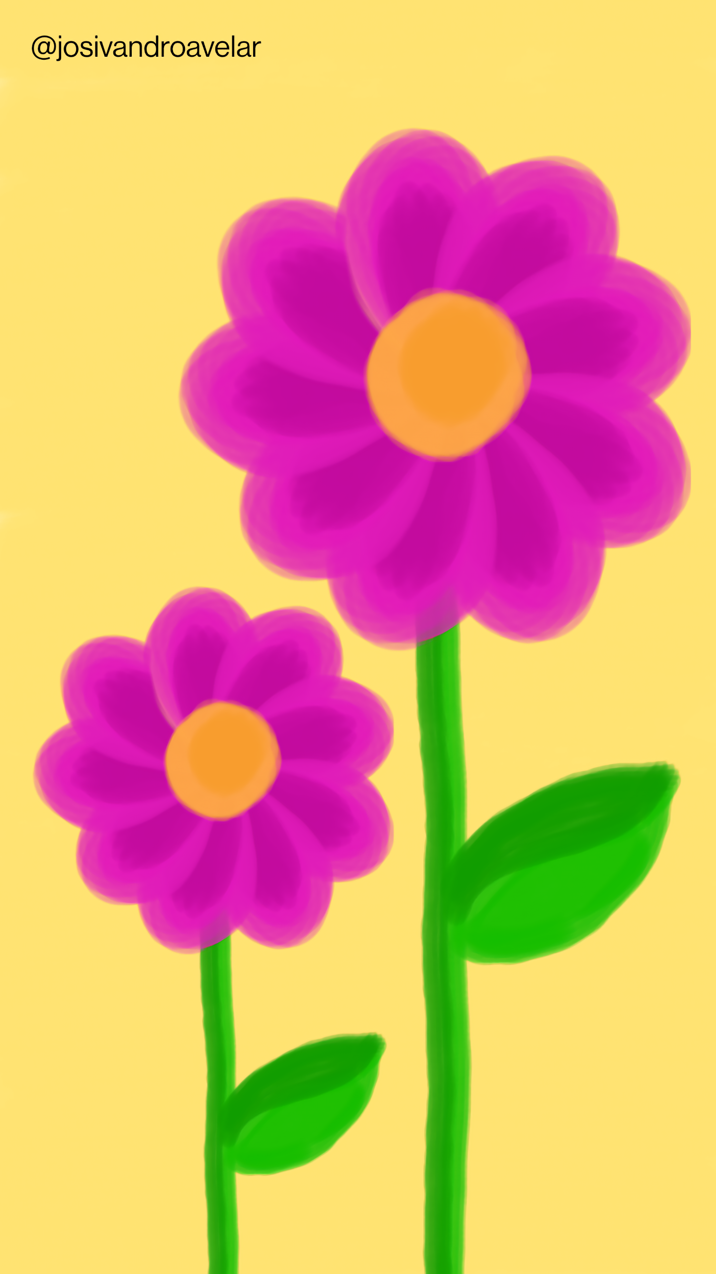 Bora desenhar? #051 1 Flores em tons de violeta em fundo amarelo, representando o ritmo das flores.