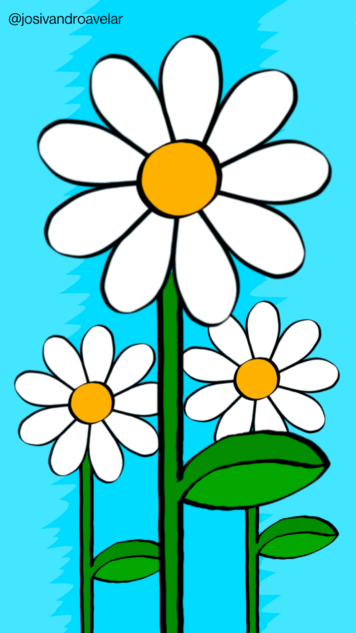 Artes digitais: bem-me-queres 1 Bem-me-queres, flores com pétalas brancas sobre fundo azul.