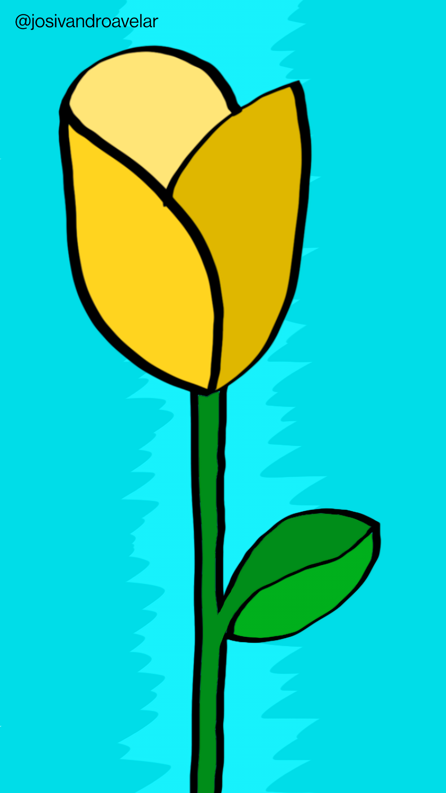 Artes digitais: amarela rosa 1 Amarela rosa, em fundo azul.