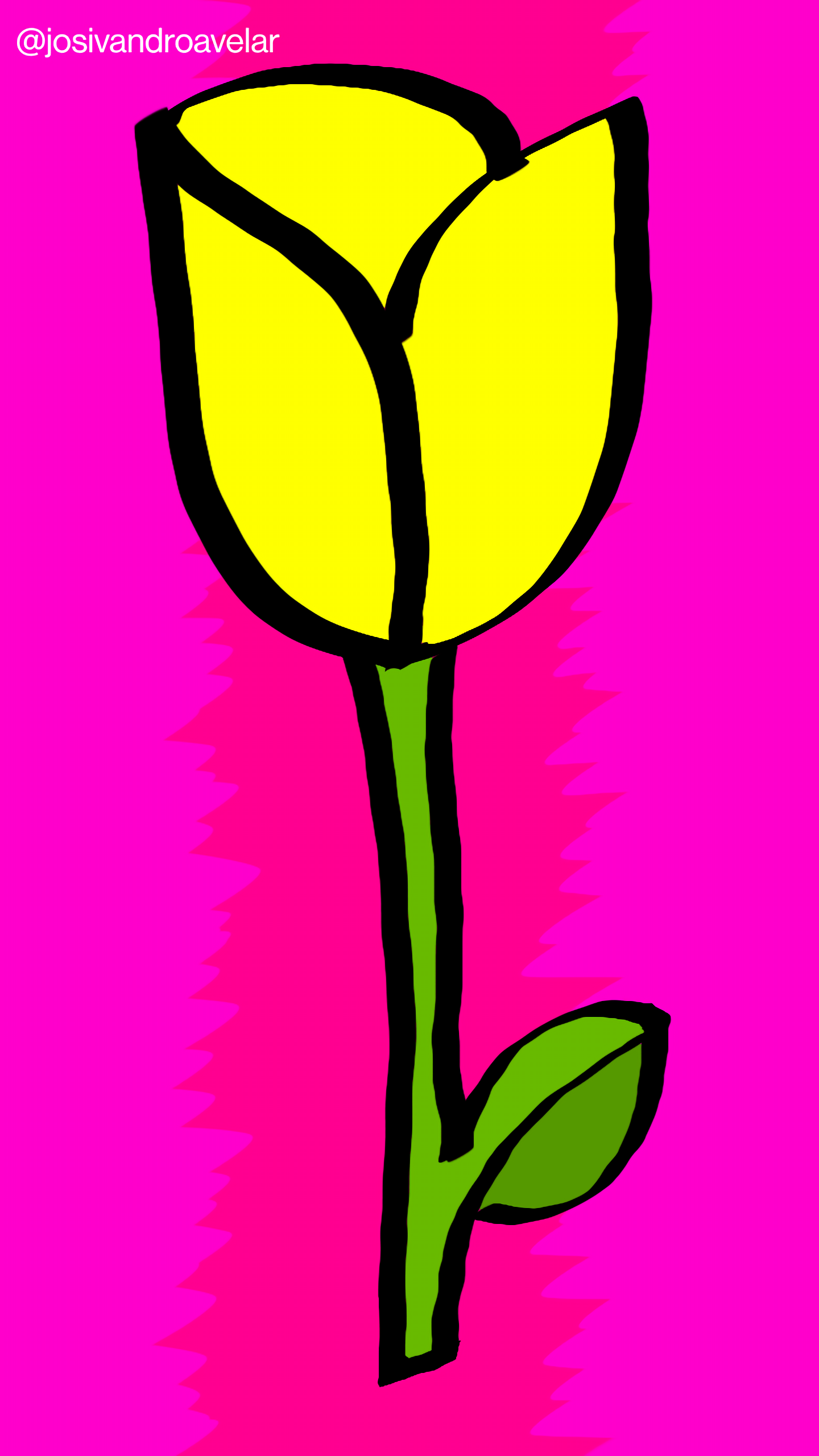 Artes digitais: Yellow Rose Pop 1 Uma rosa amarela bem marcante sob um fundo em tons de magenta bem marcantes. Yellow Rose Pop.