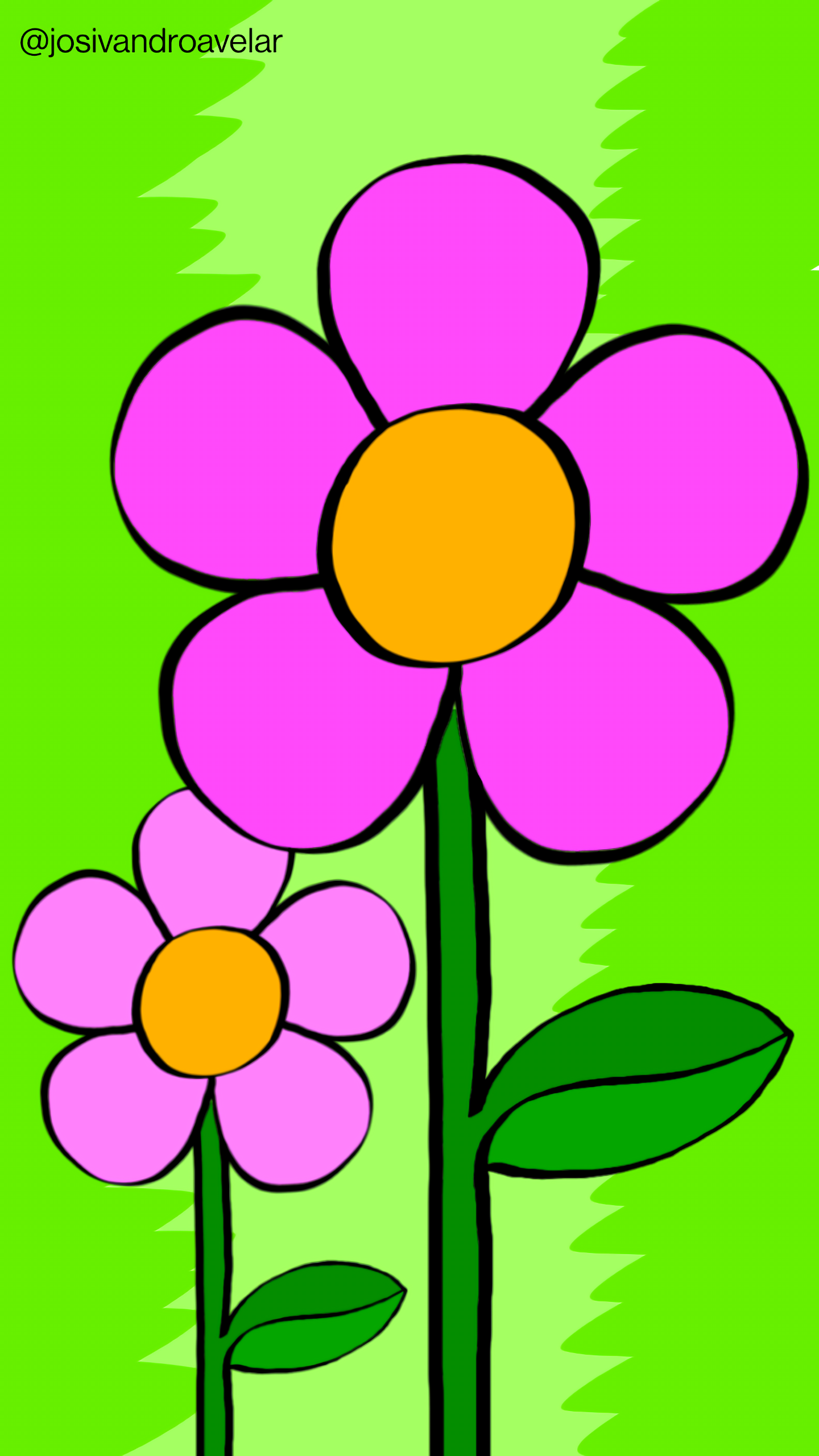 Artes digitais: violetas coloridas 1 Violetas coloridas sobre fundo verde.