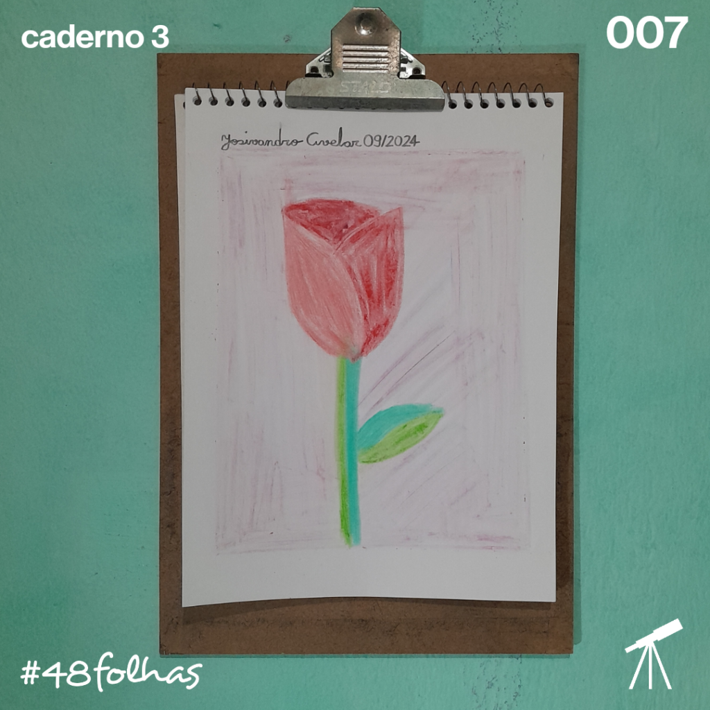 #48folhas caderno 3 - 007: Rosa sobre a rosa 1 Rosa com pétalas vermelhas, desenhada sobre fundo rosa, daí o seu nome, rosa sobre a rosa.