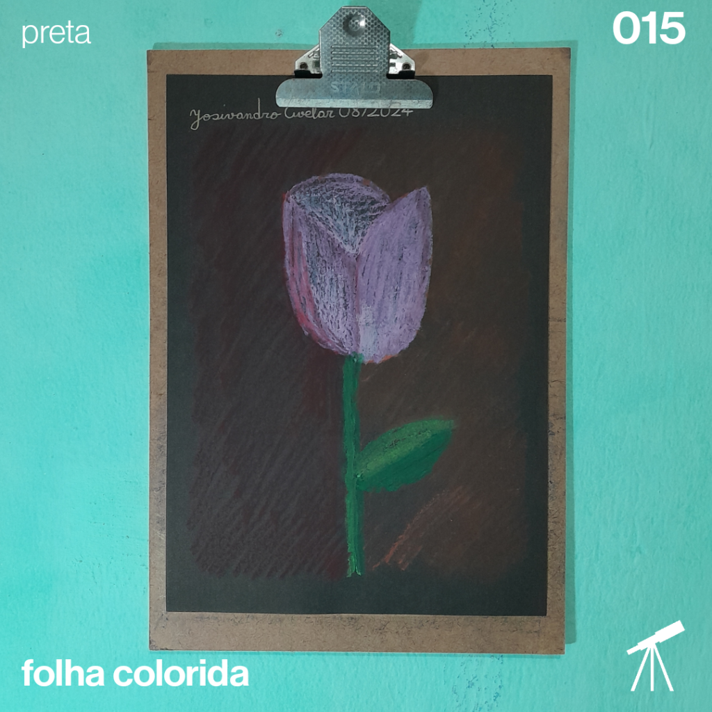 #FolhaPreta 015 - Literalmente rosa 1 Uma rosa literalmente rosa, em um fundo com tons avermelhados, feito com giz pastel sobre folha preta.