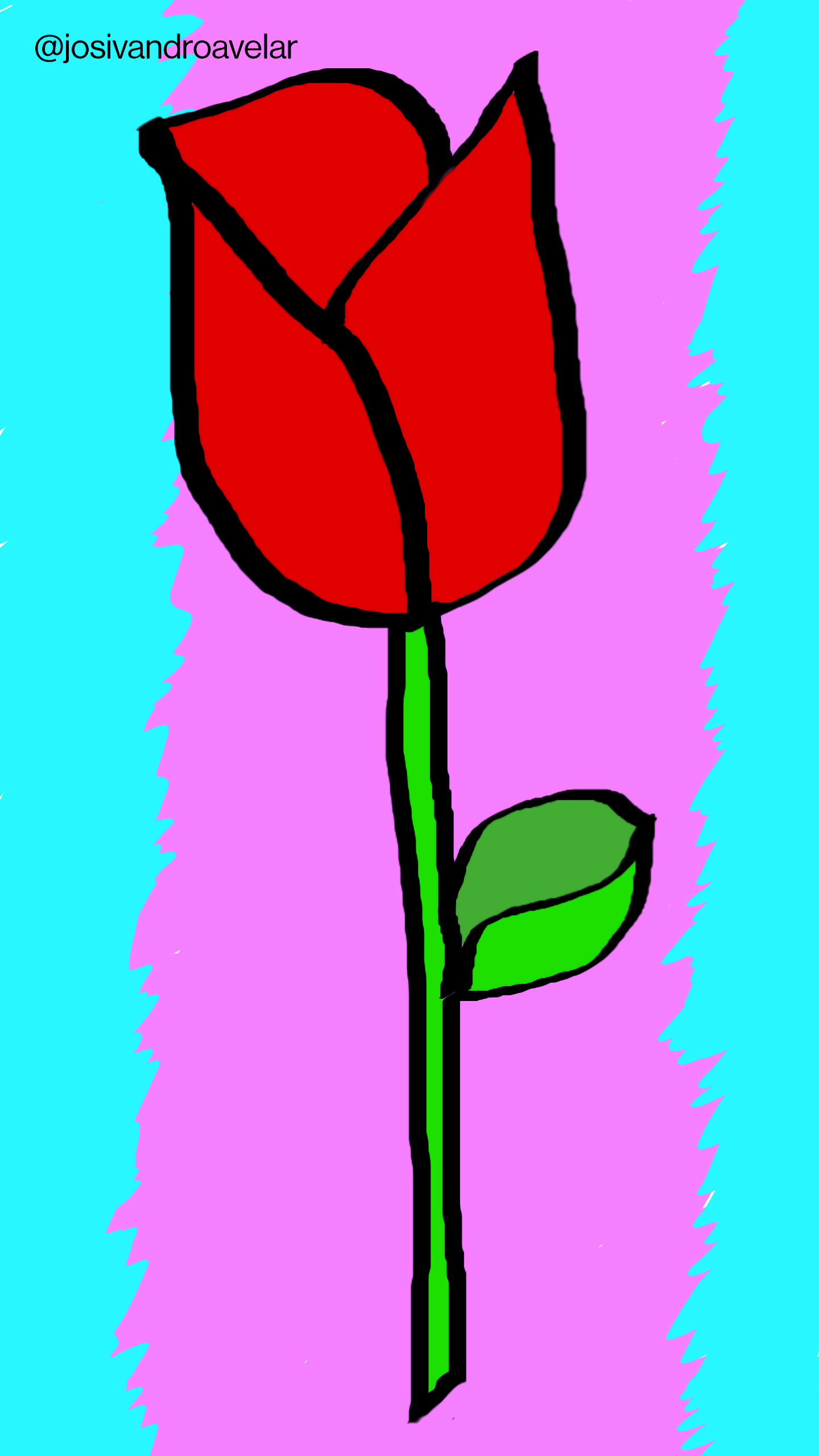 Artes digitais: Fun Rose 1 Fun Rose, uma rosa vermelha sob fundo magenta e azul.