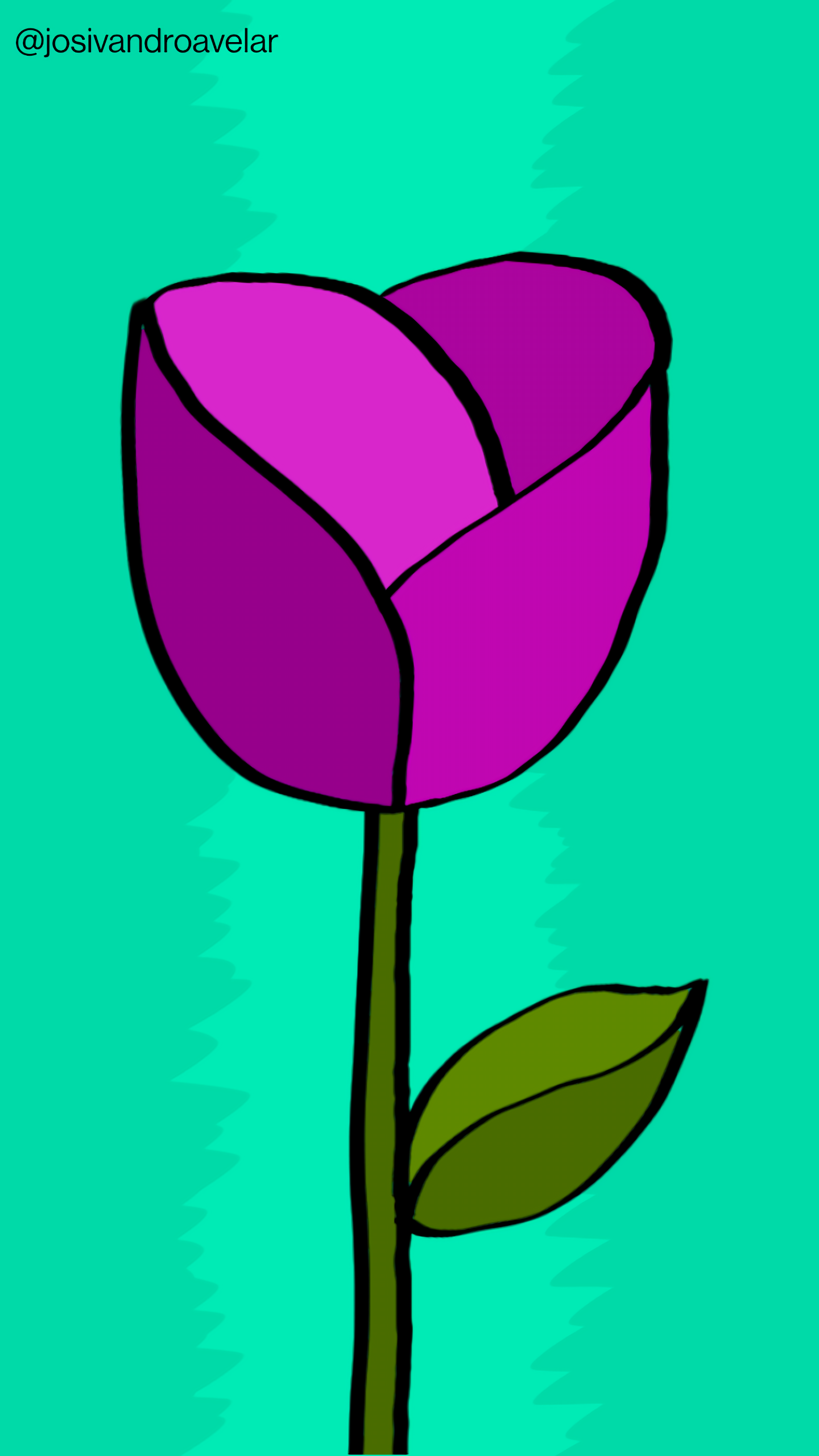 Artes digitais: rosa roxa 1 Rosa roxa sobre fundo verde.