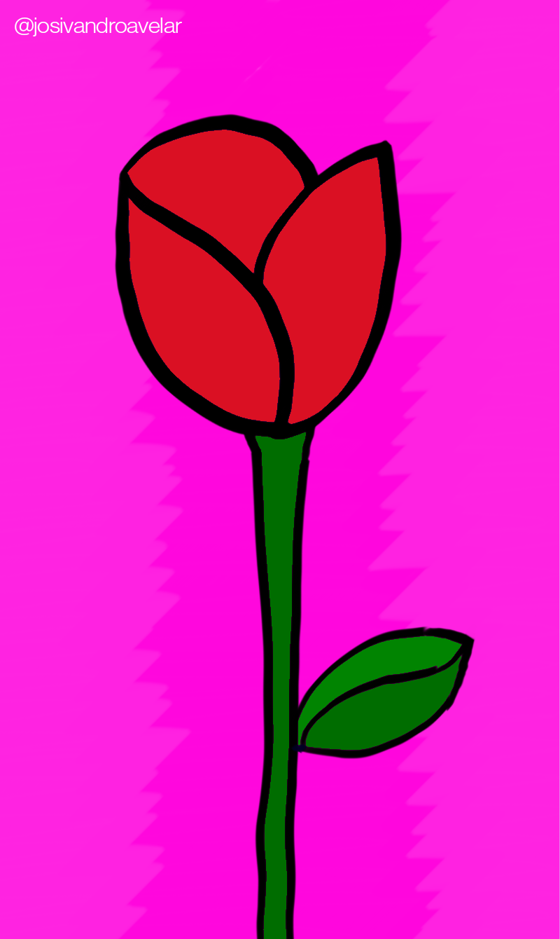 Artes digitais: rosa marcante 1 Rosa marcante de pétalas vermelhas, sobre um fundo em tons de magenta.