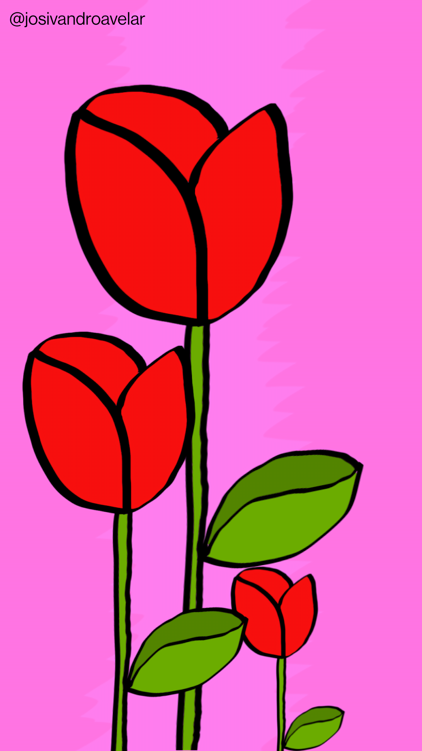 Artes digitais: rosa diante das rosas 1 Rosas vermelhas diante de um fundo em tons de cor de rosa. Rosa diante das rosas.