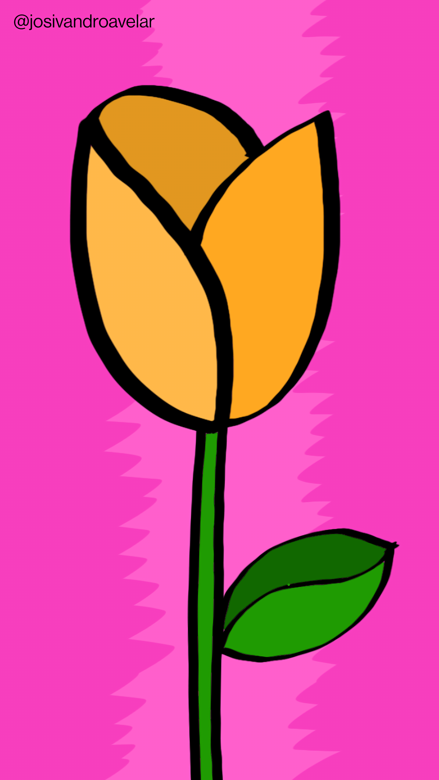 Artes digitais: sim, é uma rosa amarela! 1 Sim, é uma rosa amarela, sobre um fundo cor de rosa.