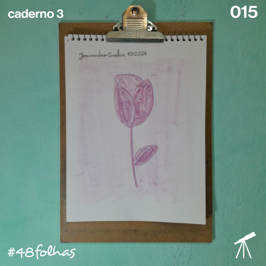 #48folhas caderno 3 - 015: Rosa marcante 1 Rosa marcante, desenhada com giz de cera de cor de carmim.