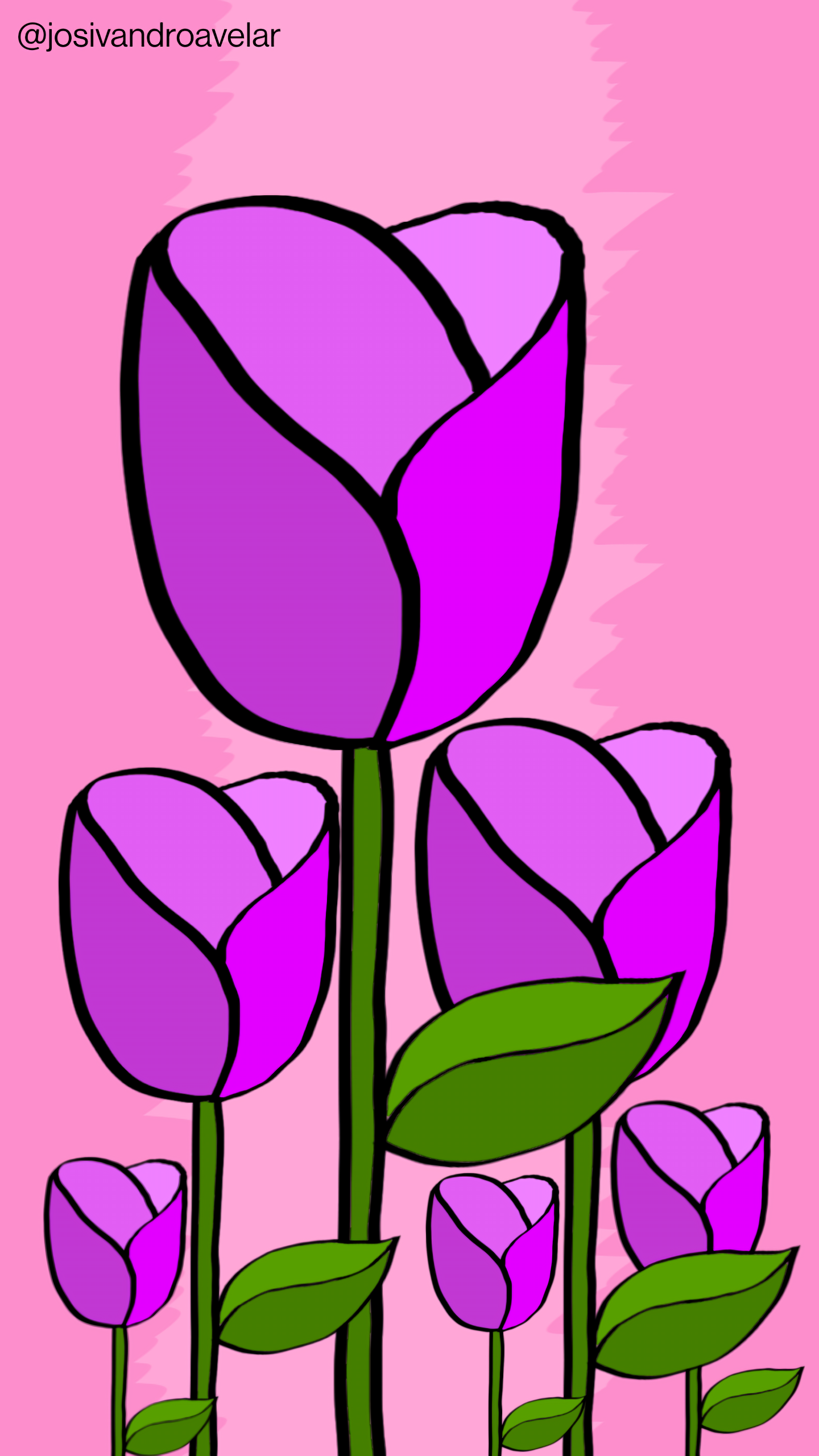 Artes digitais: intensidade das rosas 1 Intensidade das rosas, com pétalas em tons de violeta, sobre fundo em tons de rosa.