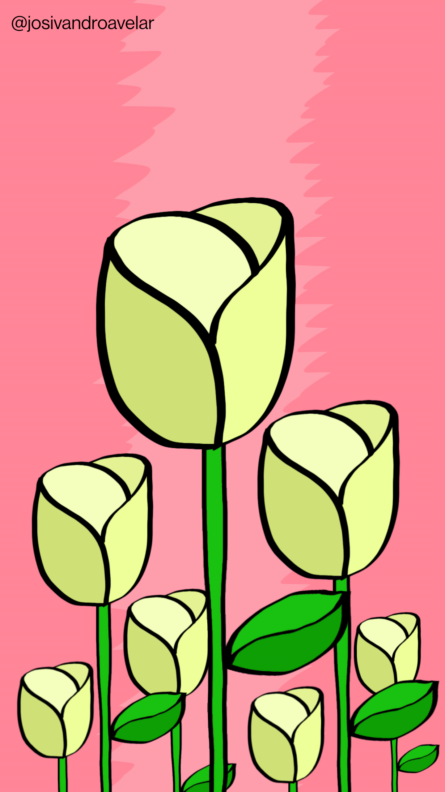 Artes digitais: rosas cor de creme 1 Rosas cor de creme, sobre fundo em tons de cor de rosa suave.