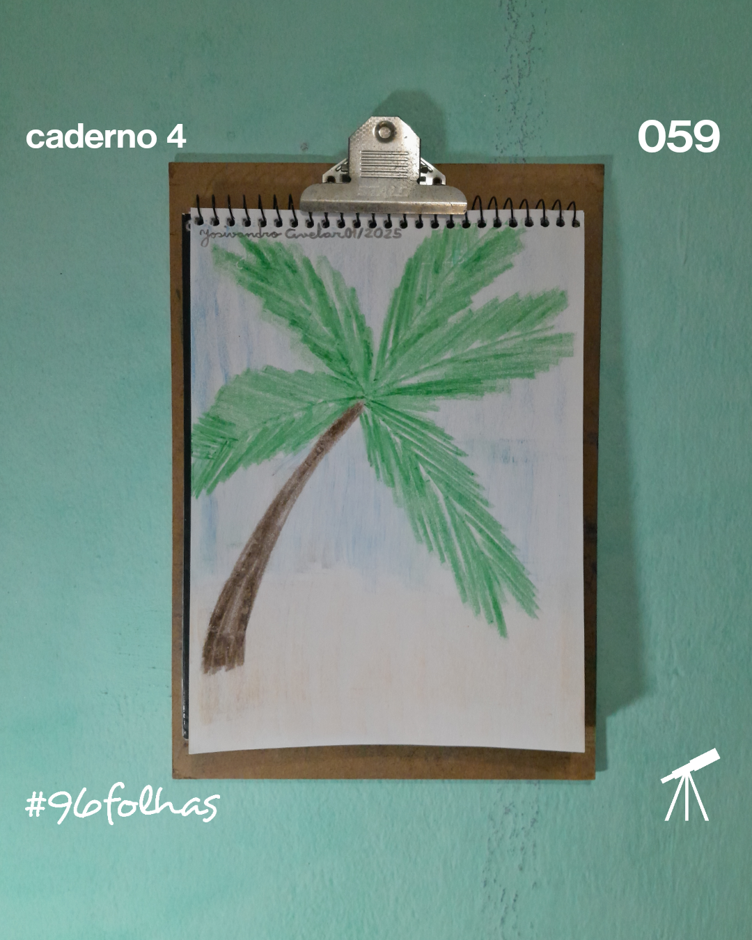 #96folhas caderno 4 - 059: Coqueiro da praia 1 Coqueiro da praia, em uma paisagem de verão.