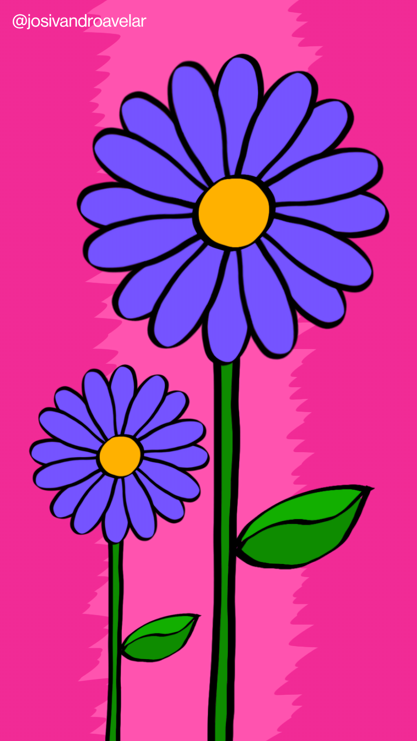 Artes digitais: colorido em meu jardim 1 Colorido em meu jardim representado por duas flores com pétalas em tons de violeta azulado, sobre um fundo em tons de rosa magenta.