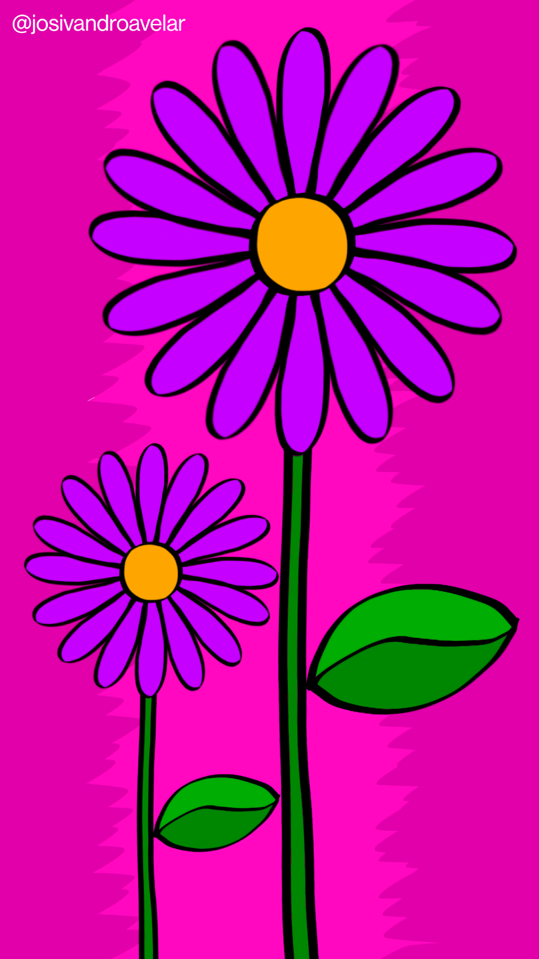 Artes digitais: pétalas de felicidade 1 Pétalas de felicidade em tons de violeta em duas flores, sobre um fundo magenta.