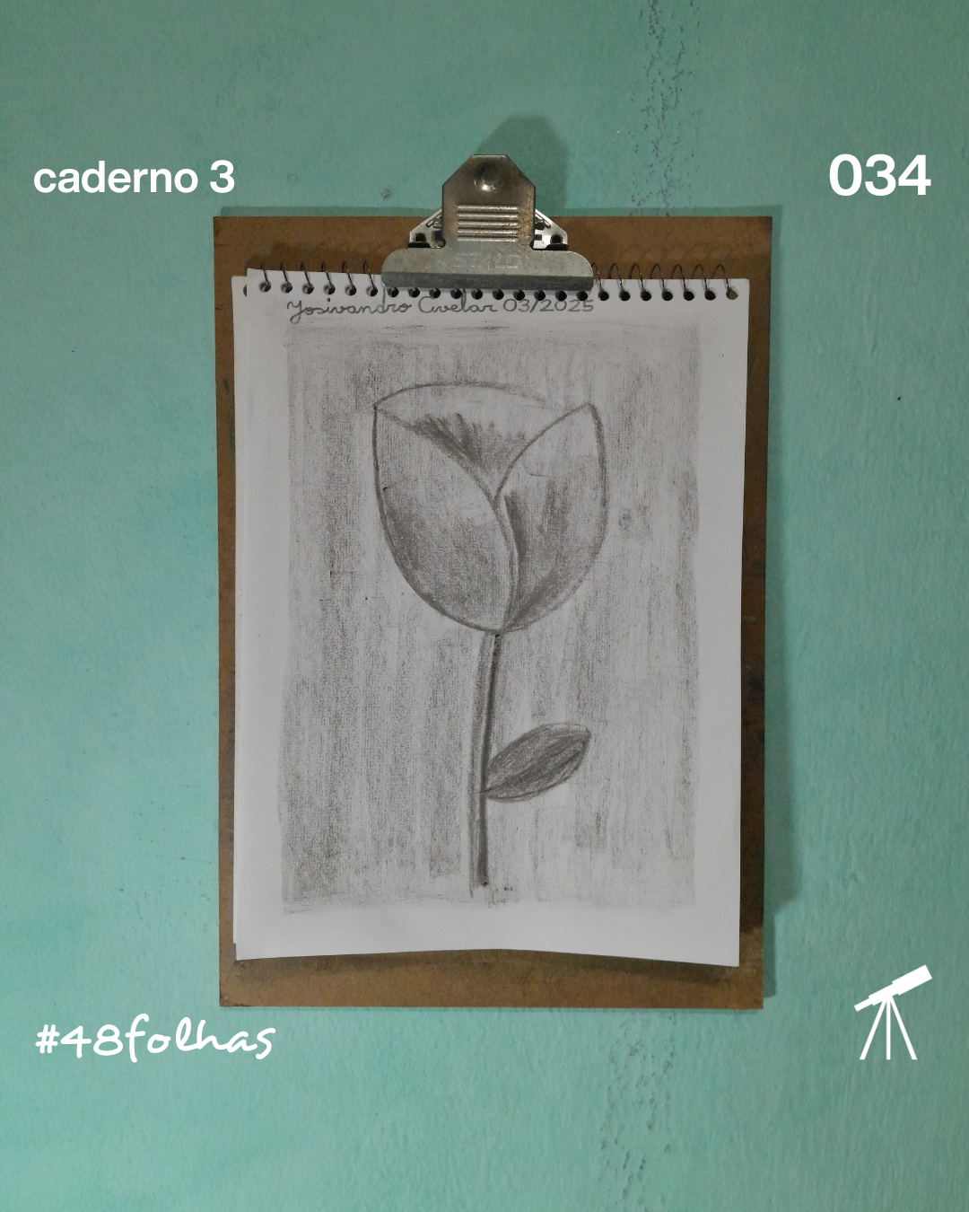 #48folhas caderno 3 - 034: Rosa em preto e branco 1 Rosa em preto e branco, desenhada com giz de cera de cor preta.