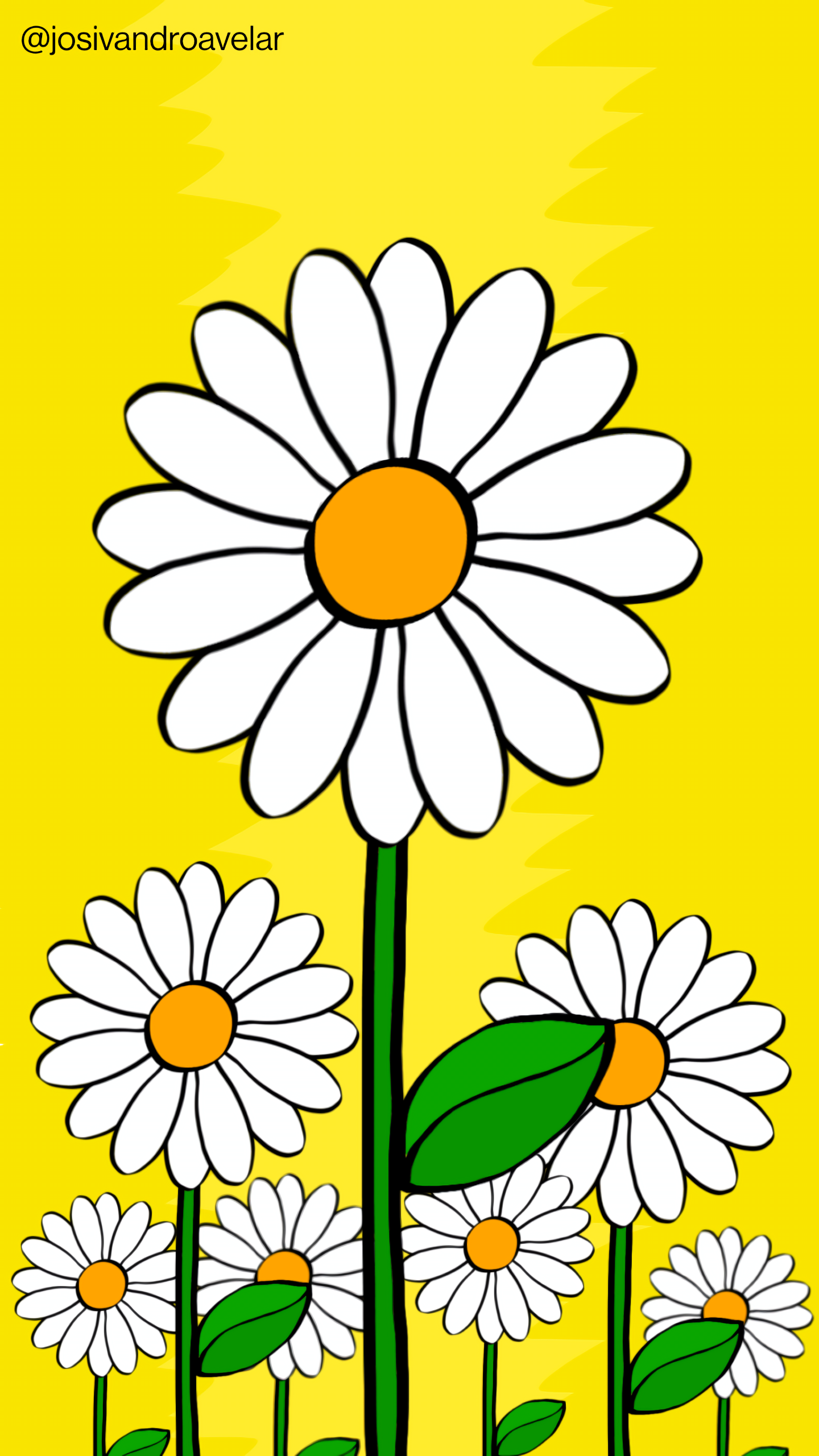 Vejo as flores com pétalas brancas, sobre um fundo em tons de amarelo.