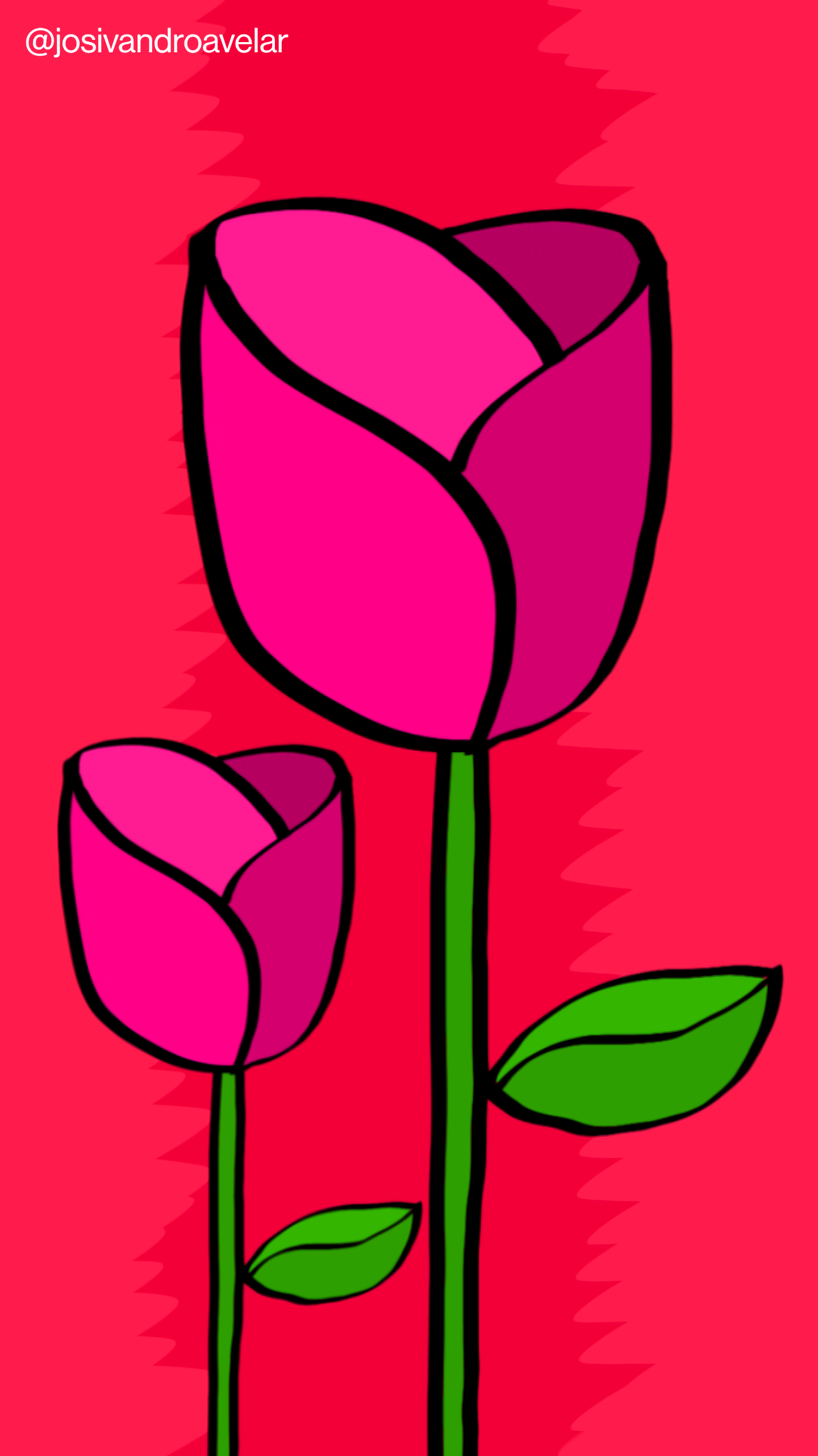 Artes digitais: rosas que marcam 1 Rosas que marcam, com pétalas em tons de rosa, sob um fundo em tons de vermelho.