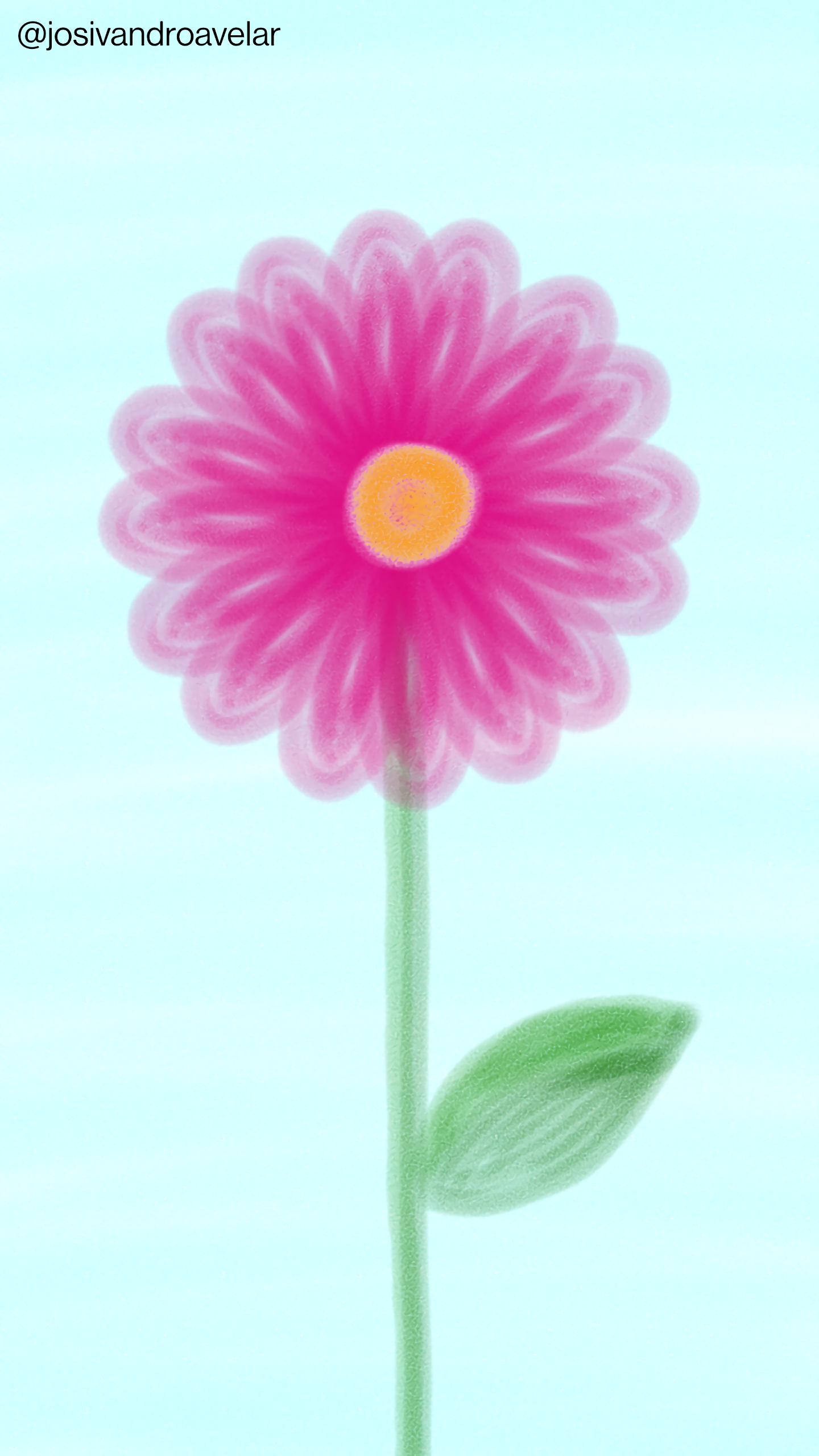 Artes digitais: pétalas 1 Flor de pétalas suaves em tons de magenta, sob fundo azul suave.