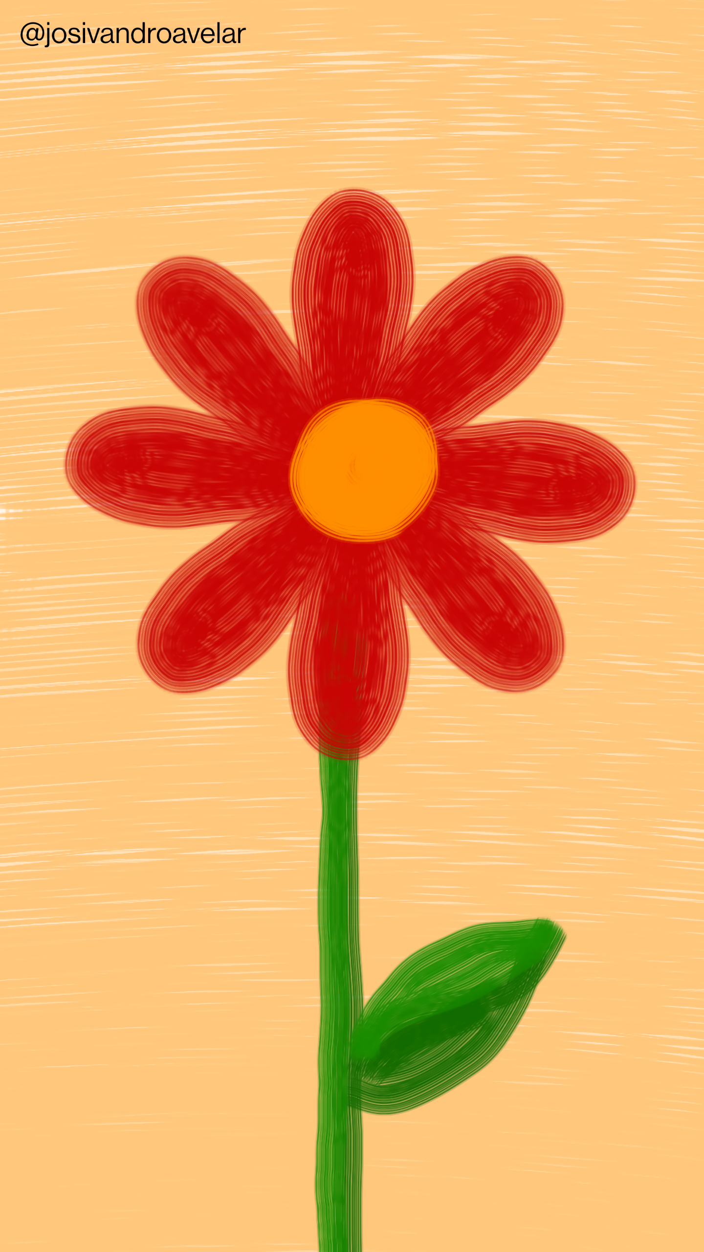 Não seria uma flor como as outras, mas é uma flor com pétalas em tons de vermelho sobre um fundo em tom de salmão.