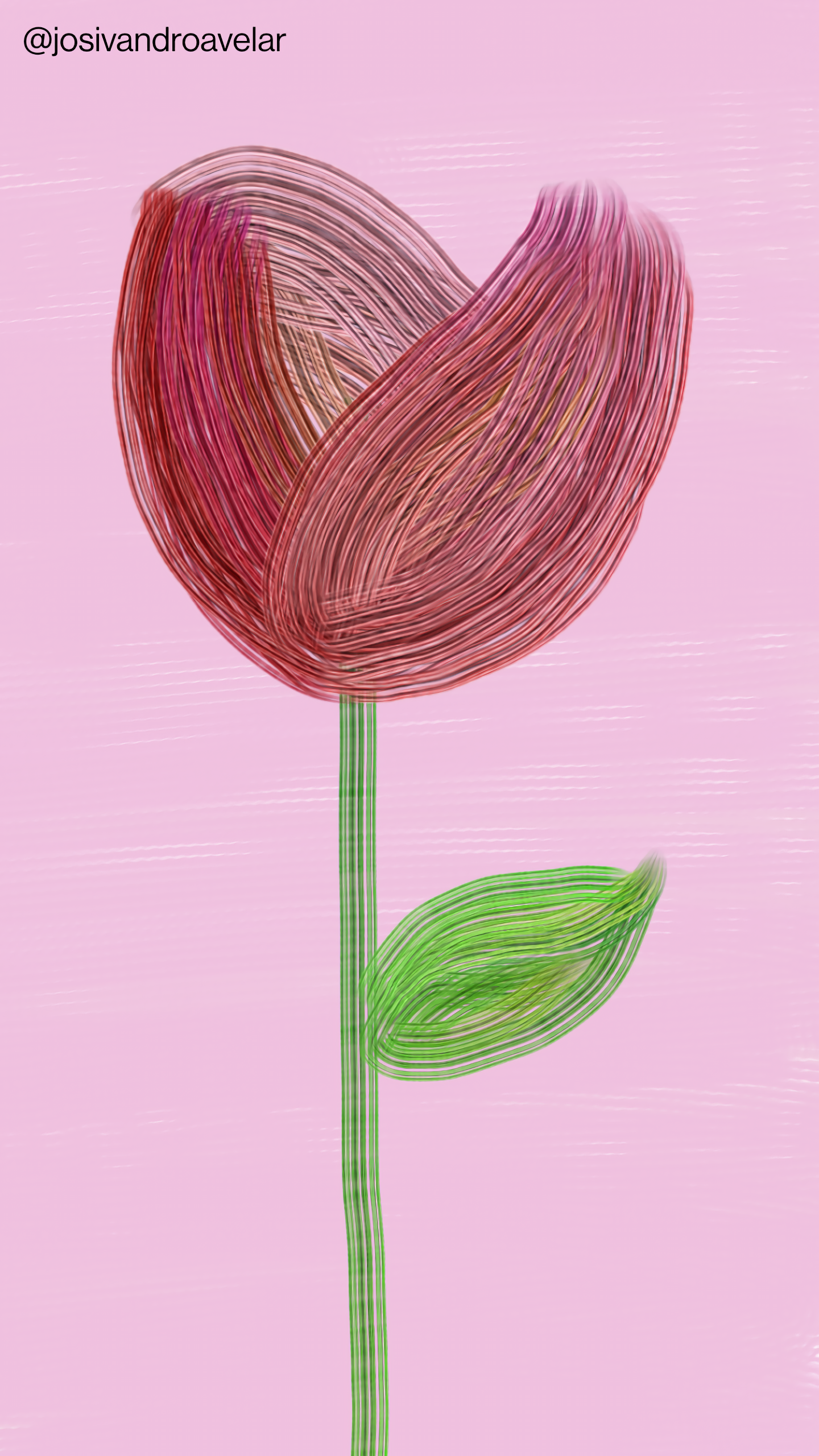Artes digitais: rosa artesanal 1 Rosa artesanal com pétalas em tons de vermelho, sobre um fundo em tons de rosa.