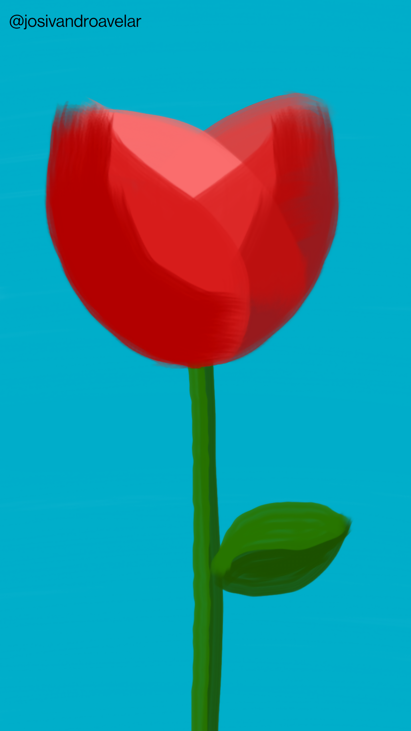 Artes digitais: botão de rosa vermelha 1 Botão de rosa vermelha, sobre um fundo azul.