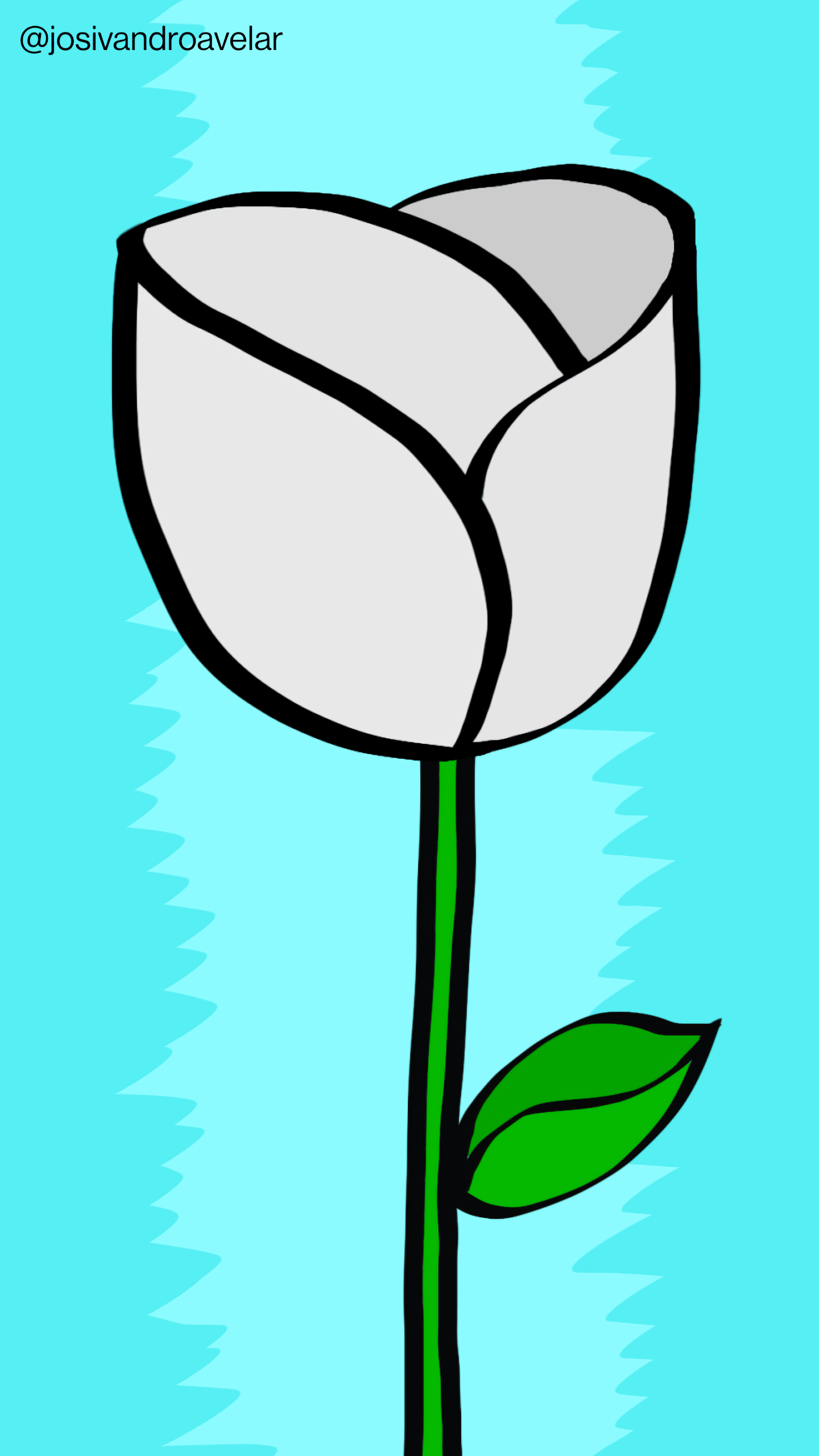 Artes digitais: uma rosa branca e delicada 1 Uma rosa branca e delicada, sobre um fundo em tons de azul claro.