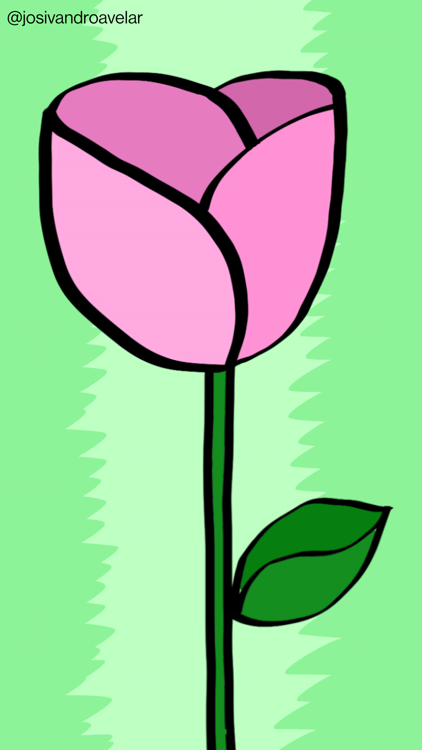 Artes digitais: rosa de rosa 1 Rosa de rosa, com pétalas em cor de rosa, em um fundo em tons de verde.