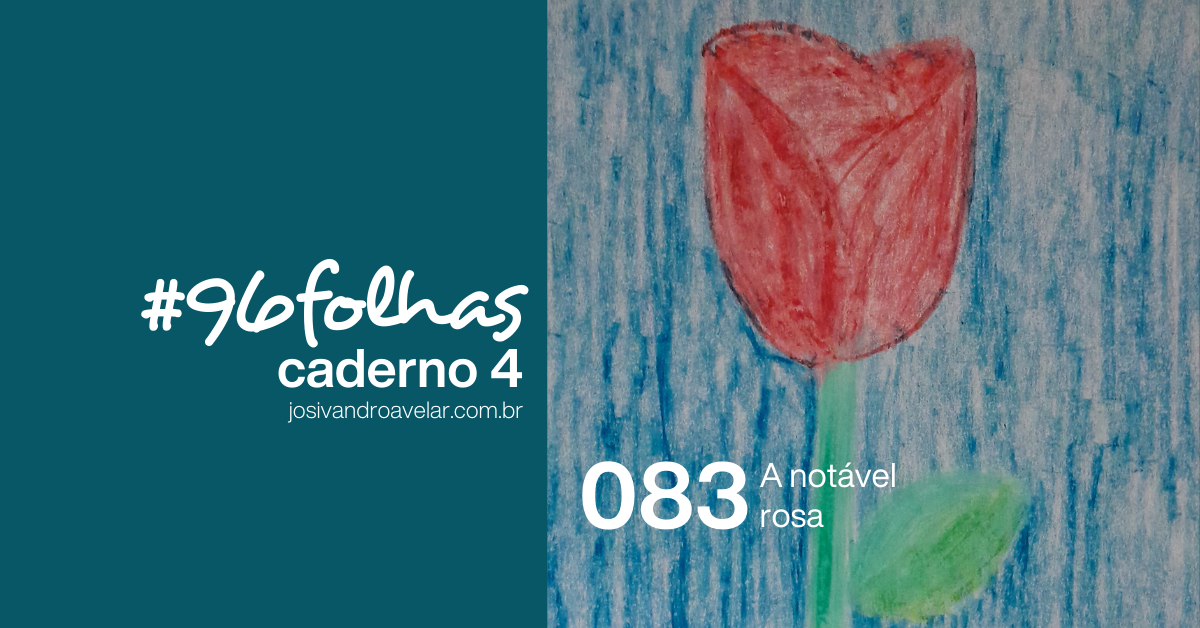 #96folhas caderno 4 – 083: A notável rosa