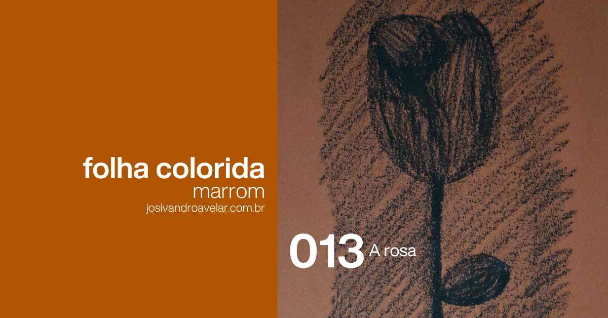 #FolhaMarrom 013 – A rosa