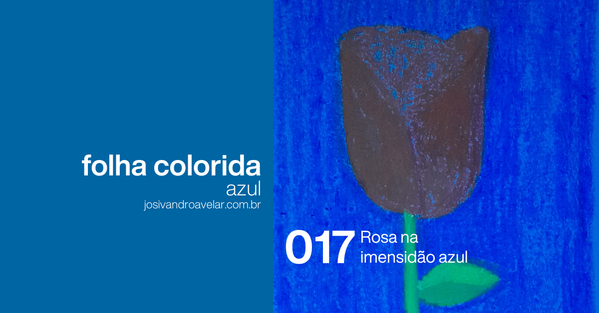 #FolhaAzul 017 - Rosa na imensidão azul 2 site graph 0053